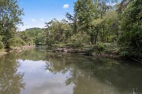Royal Fern in Pisgah Forest