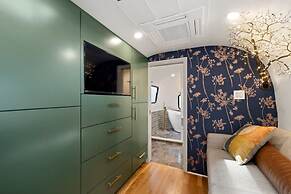 Royal Fern in Pisgah Forest