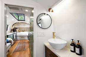 Royal Fern in Pisgah Forest