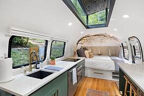 Royal Fern in Pisgah Forest