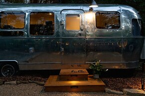 Creekside Fern in Pisgah Forest