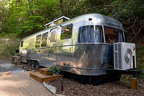 Creekside Fern in Pisgah Forest