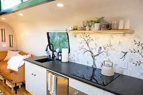 Creekside Fern in Pisgah Forest