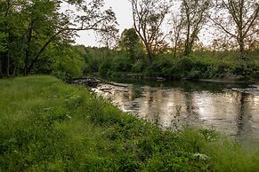 Creekside Fern in Pisgah Forest