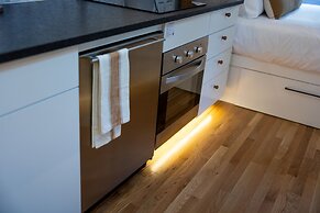 Creekside Fern in Pisgah Forest