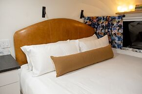 Creekside Fern in Pisgah Forest