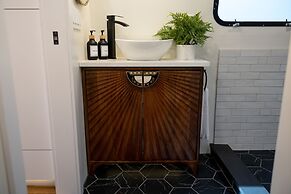 Creekside Fern in Pisgah Forest