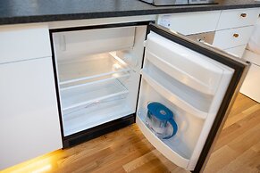 Creekside Fern in Pisgah Forest