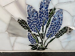 Creekside Fern in Pisgah Forest