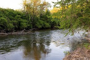 Creekside Fern in Pisgah Forest
