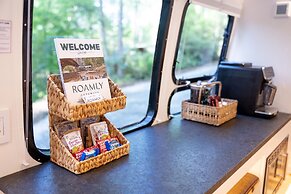 Creekside Fern in Pisgah Forest