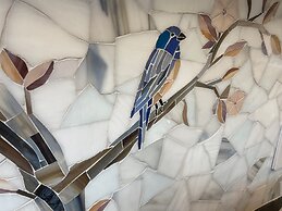 Creekside Fern in Pisgah Forest