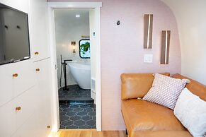 Creekside Fern in Pisgah Forest