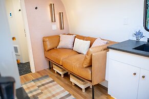 Creekside Fern in Pisgah Forest