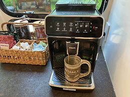 Creekside Fern in Pisgah Forest