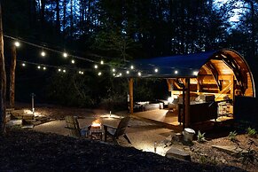 Creekside Fern in Pisgah Forest