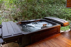 Creekside Fern in Pisgah Forest