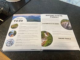 Creekside Fern in Pisgah Forest