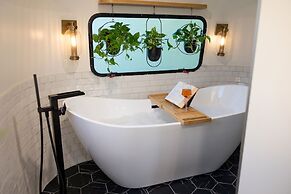 Creekside Fern in Pisgah Forest