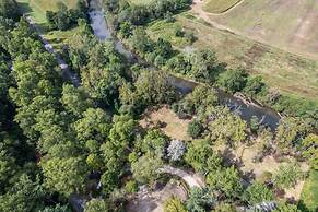 Creekside Fern in Pisgah Forest