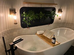 Creekside Fern in Pisgah Forest