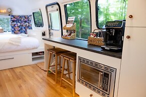 Creekside Fern in Pisgah Forest