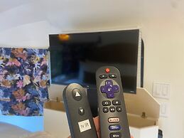 Creekside Fern in Pisgah Forest