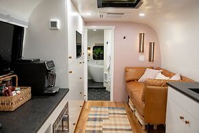 Creekside Fern in Pisgah Forest