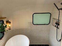 Creekside Fern in Pisgah Forest