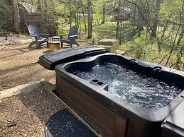 Silver Fern in Pisgah Forest