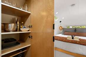 Silver Fern in Pisgah Forest