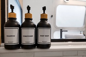 Silver Fern in Pisgah Forest