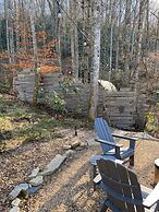 Silver Fern in Pisgah Forest