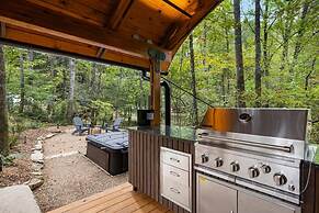 Silver Fern in Pisgah Forest