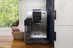 Silver Fern in Pisgah Forest