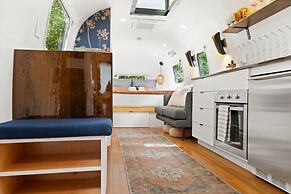 Silver Fern in Pisgah Forest