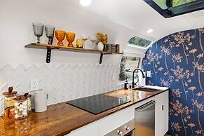 Silver Fern in Pisgah Forest