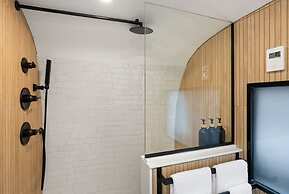 Silver Fern in Pisgah Forest