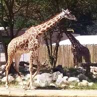 The Chicken Coop a Modern Riverfront Oasis 908