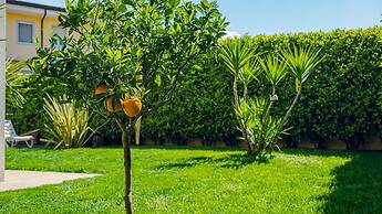 Lugana Lovers - Italian Homing