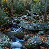 Pigeon Forge I Hot tub I Theatre I Walk to Parkway