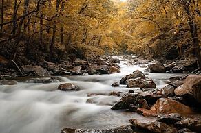 The Morning Glory With Hot Tub Arcade Theater