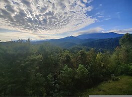 The Morning Glory With Hot Tub Arcade Theater