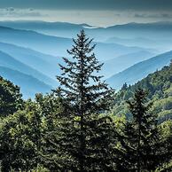 Minutes to Parkway I Pigeon Forge Sleeps 14 5BR