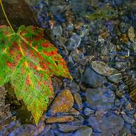 Minutes to Parkway I Pigeon Forge Sleeps 14 5BR