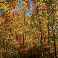 Minutes to Parkway I Pigeon Forge Sleeps 14 5BR