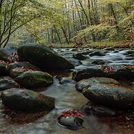 Minutes to Parkway I Pigeon Forge Sleeps 14 5BR