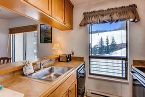 Crested Butte Mountain Resort Properties