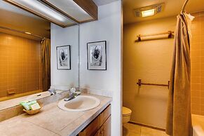 Crested Butte Mountain Resort Properties