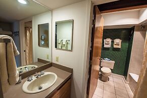 Crested Butte Mountain Resort Properties